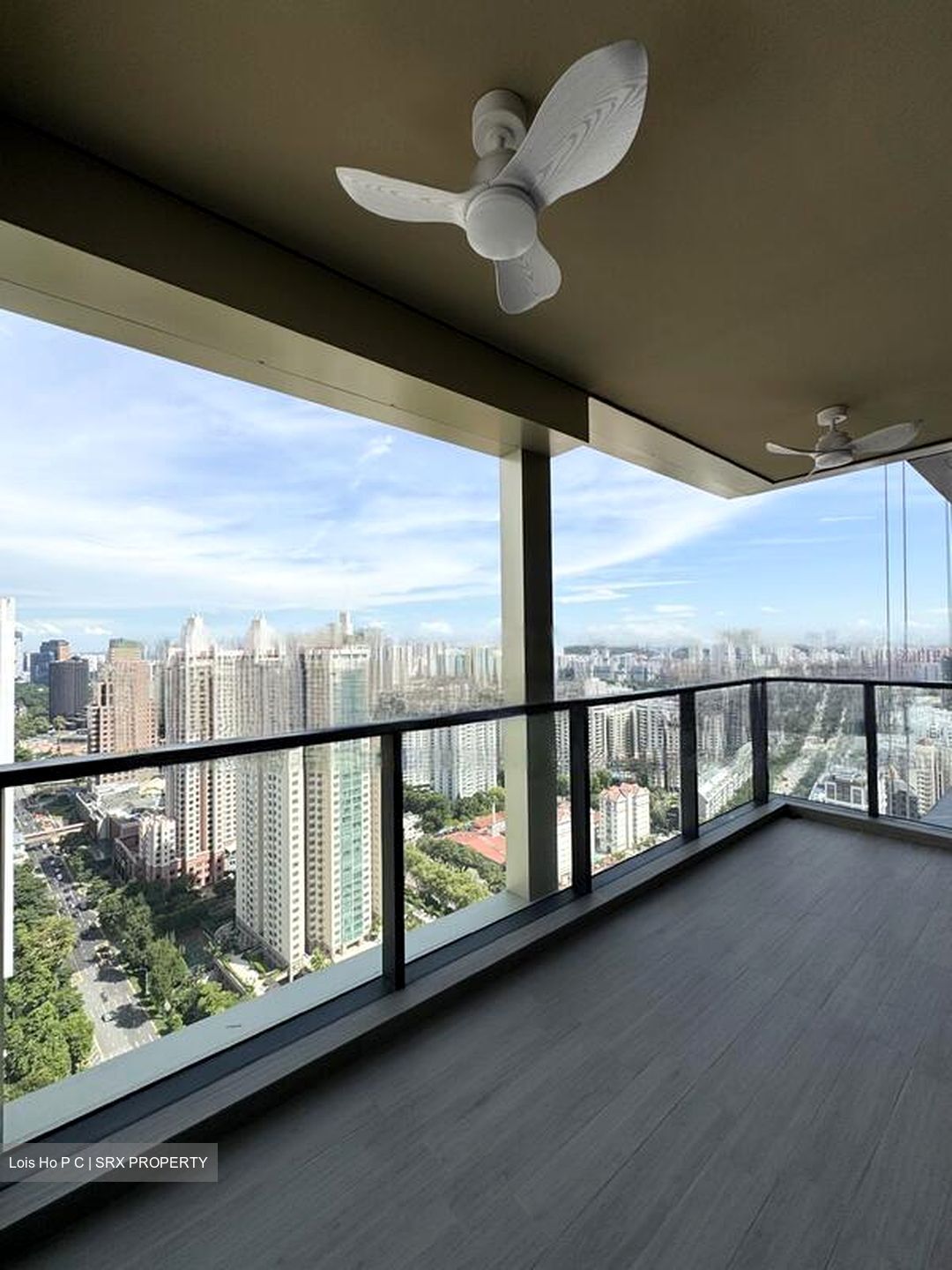 Irwell Hill Residences (D9), Apartment #451088381